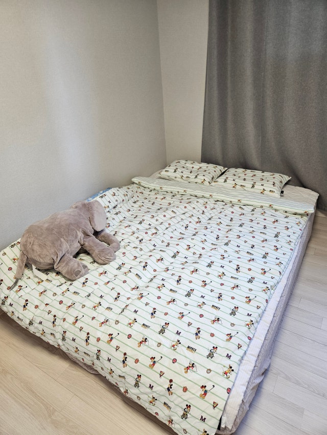 이미지를 찾을 수 없습니다.