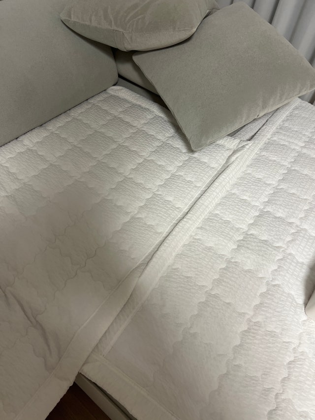 이미지를 찾을 수 없습니다.