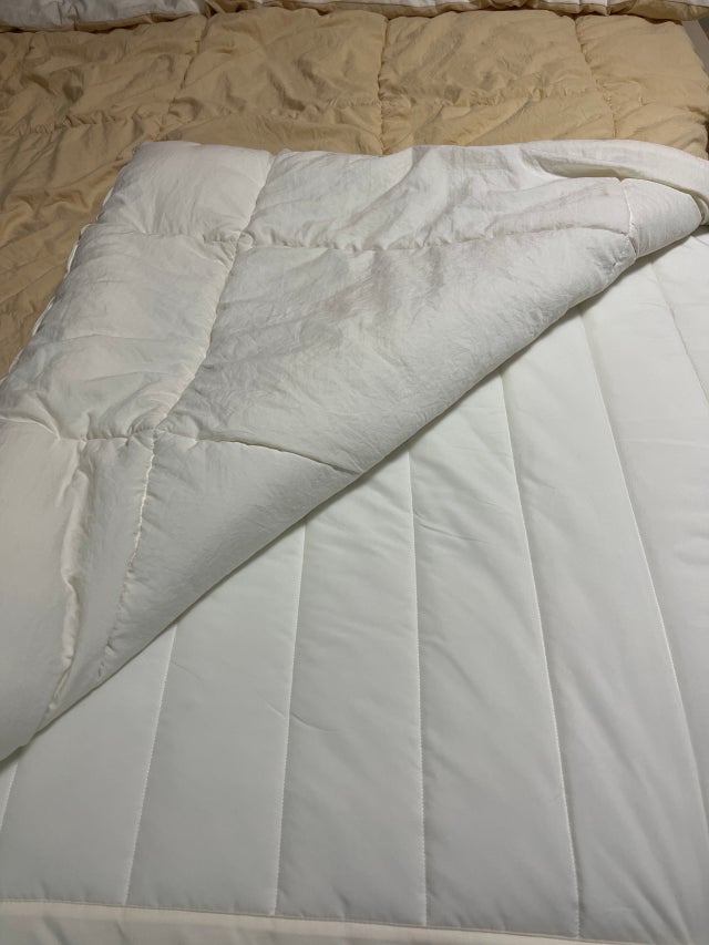 이미지를 찾을 수 없습니다.