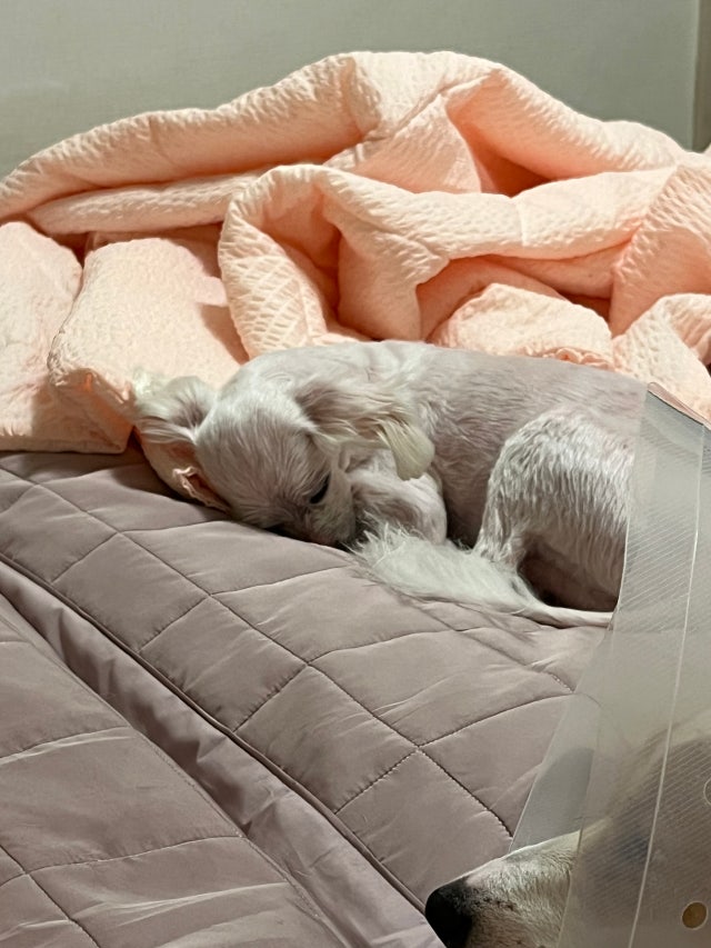 이미지를 찾을 수 없습니다.