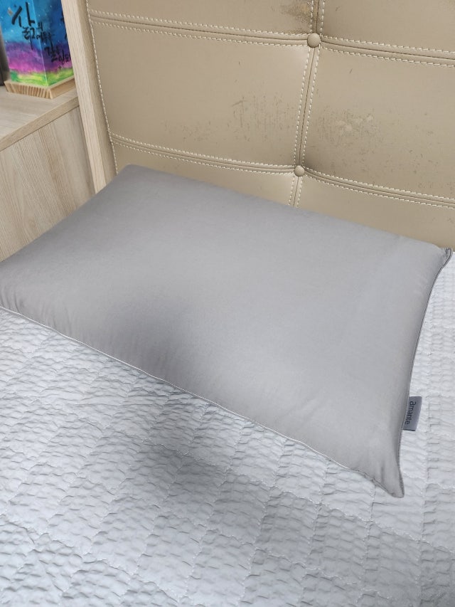 이미지를 찾을 수 없습니다.