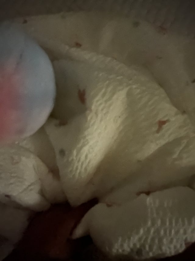 이미지를 찾을 수 없습니다.