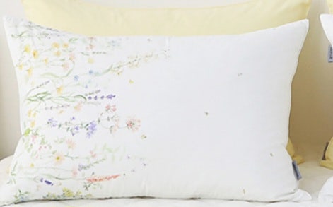 이미지를 찾을 수 없습니다.