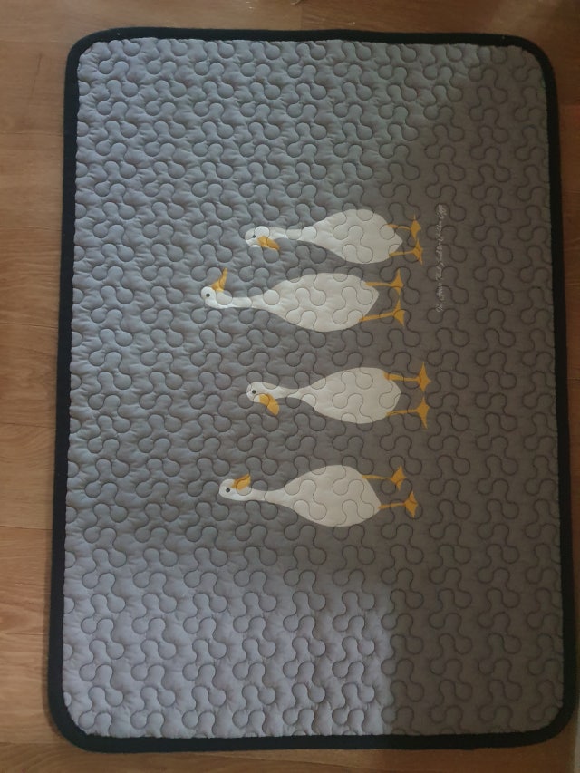 이미지를 찾을 수 없습니다.