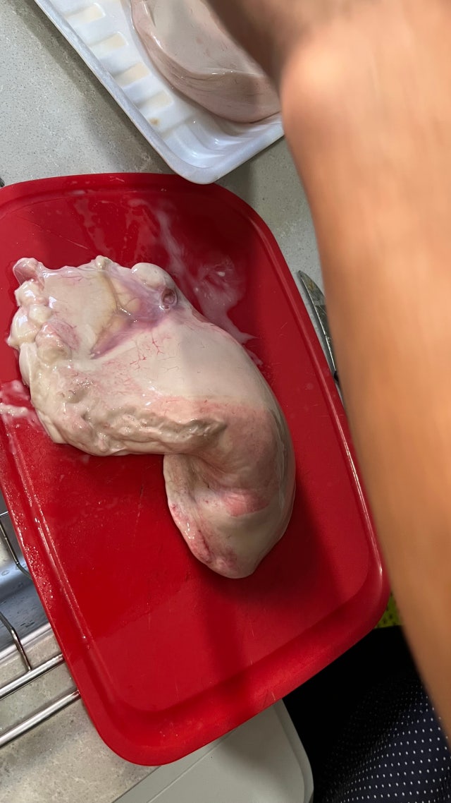 IMG_3946.jpeg?type=w640