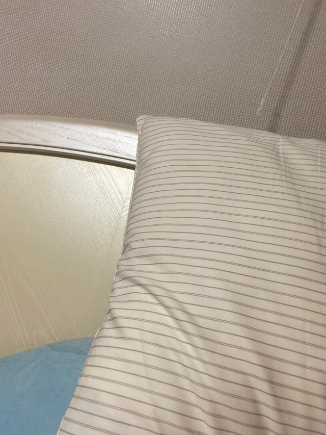 이미지를 찾을 수 없습니다.