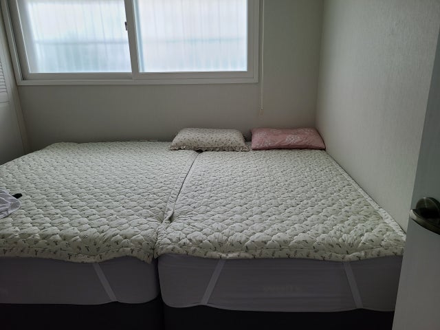 이미지를 찾을 수 없습니다.