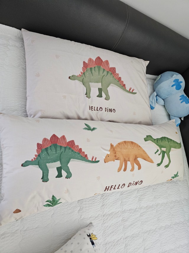 이미지를 찾을 수 없습니다.