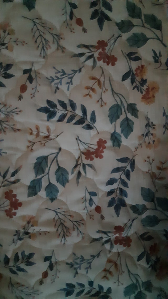 이미지를 찾을 수 없습니다.