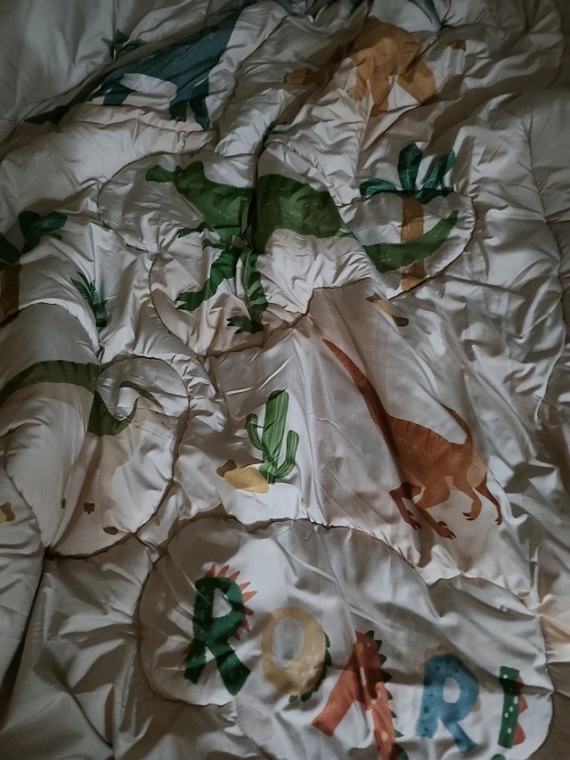 이미지를 찾을 수 없습니다.