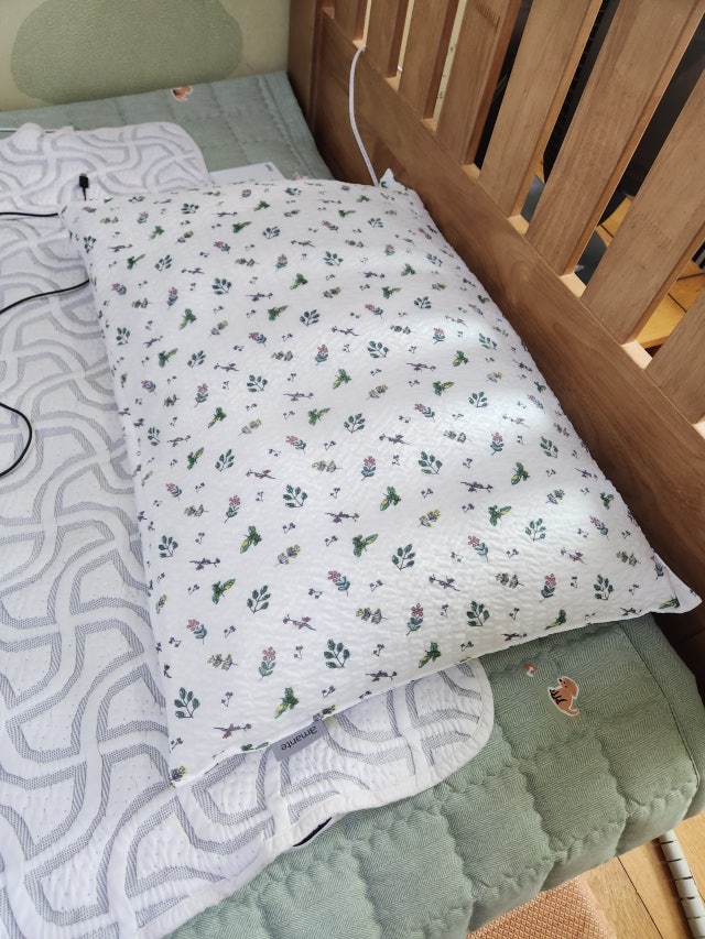 이미지를 찾을 수 없습니다.