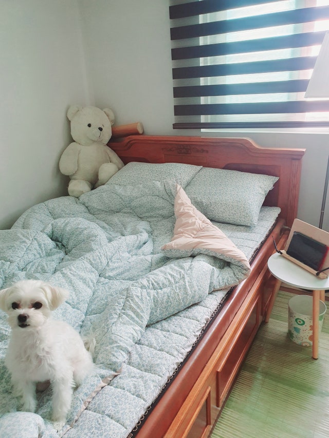 이미지를 찾을 수 없습니다.