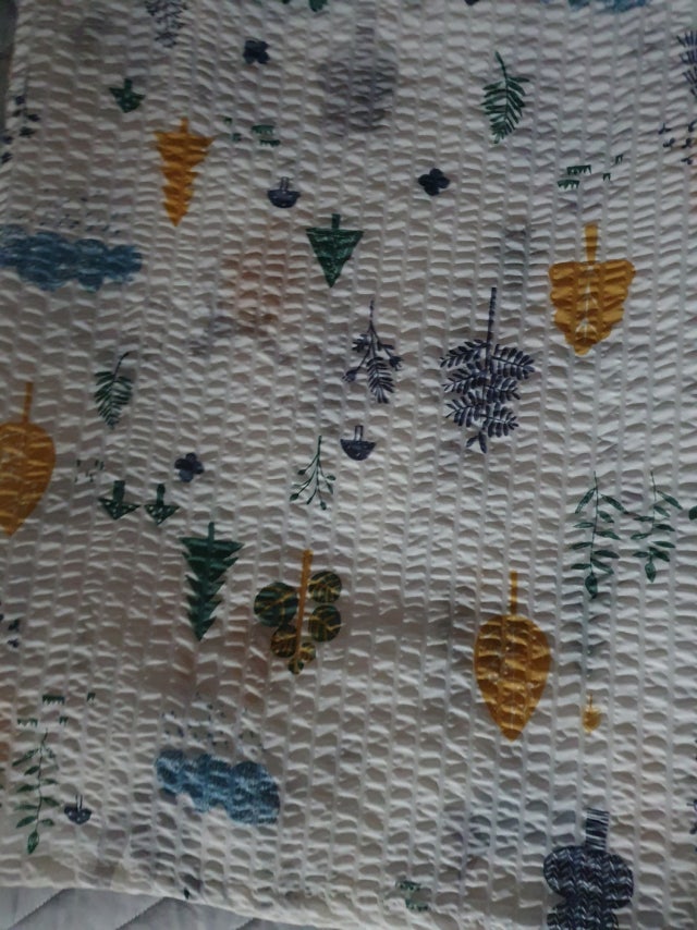 이미지를 찾을 수 없습니다.