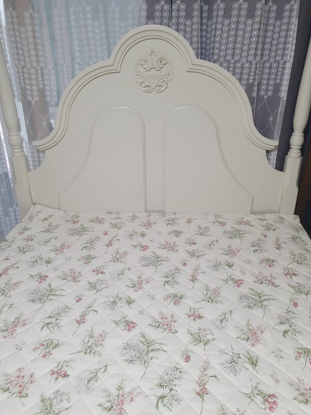 이미지를 찾을 수 없습니다.