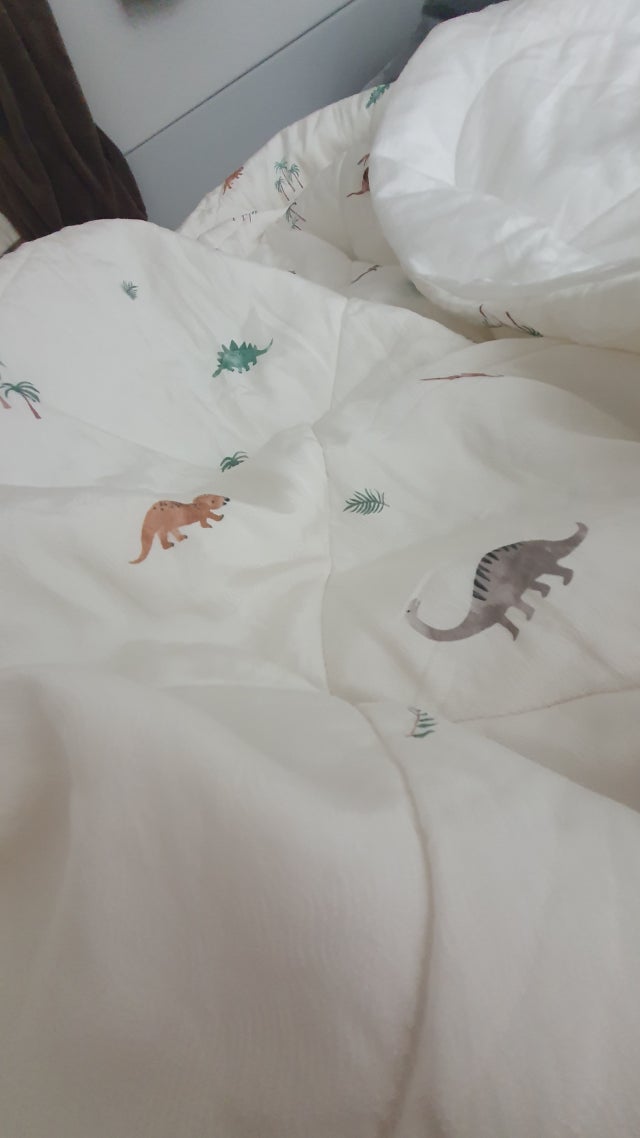 이미지를 찾을 수 없습니다.