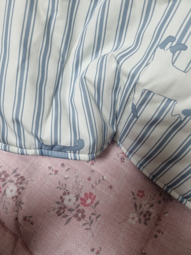 이미지를 찾을 수 없습니다.