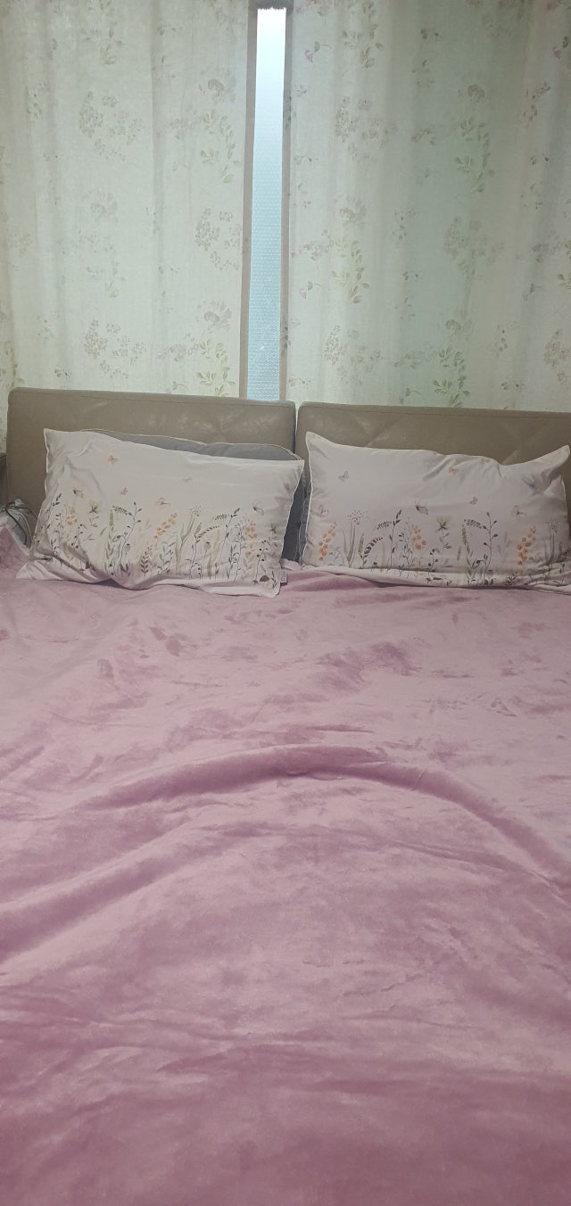 이미지를 찾을 수 없습니다.