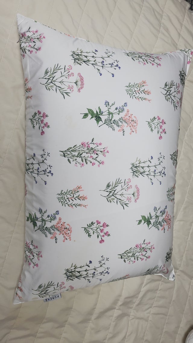 이미지를 찾을 수 없습니다.