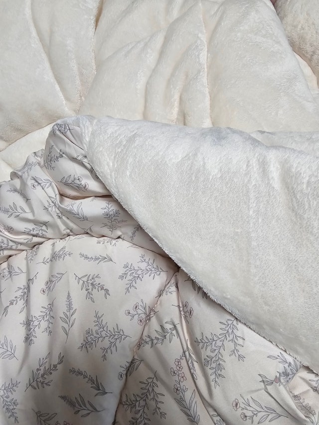 이미지를 찾을 수 없습니다.