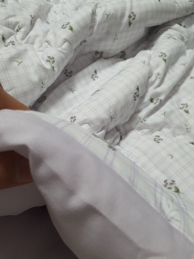 이미지를 찾을 수 없습니다.