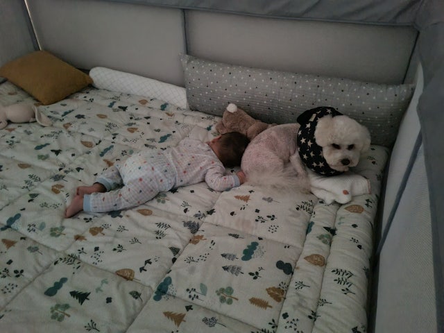 이미지를 찾을 수 없습니다.