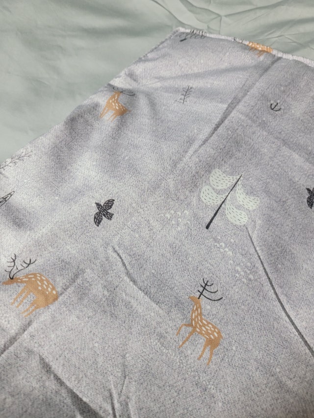 이미지를 찾을 수 없습니다.