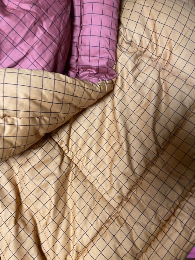 이미지를 찾을 수 없습니다.