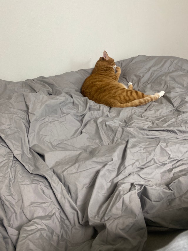 이미지를 찾을 수 없습니다.