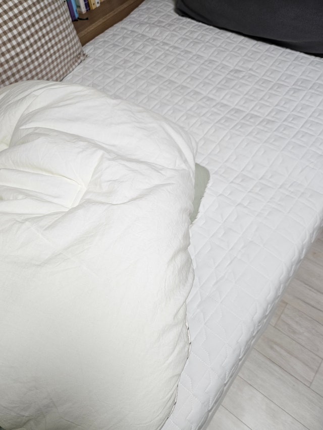 이미지를 찾을 수 없습니다.