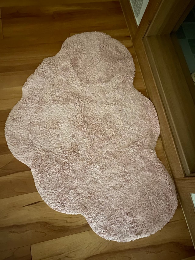 이미지를 찾을 수 없습니다.