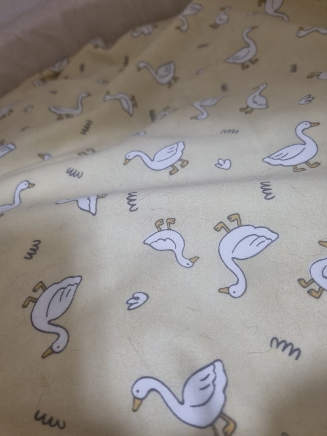 이미지를 찾을 수 없습니다.