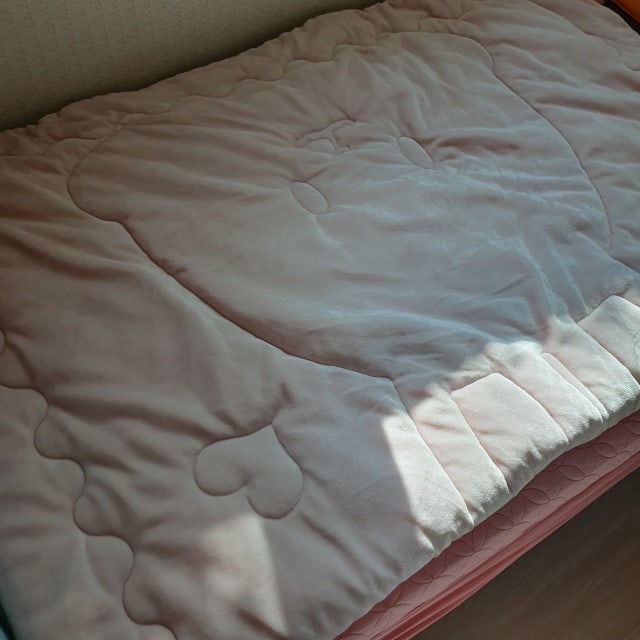 이미지를 찾을 수 없습니다.