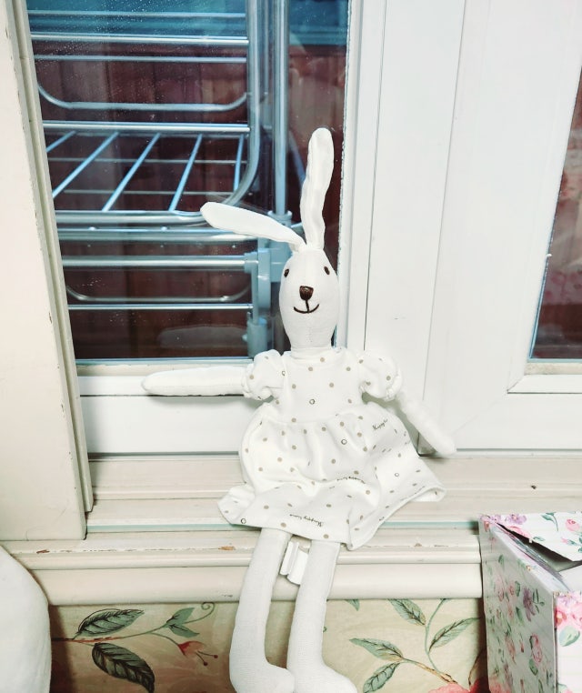 이미지를 찾을 수 없습니다.