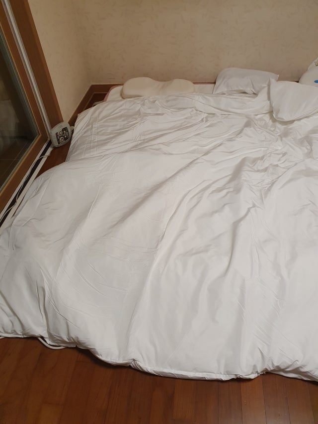 이미지를 찾을 수 없습니다.