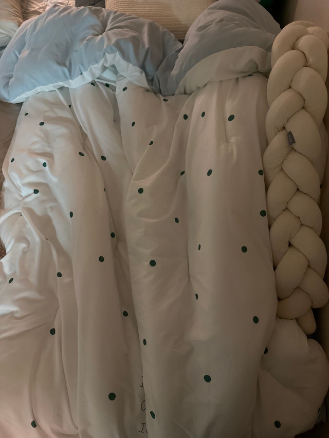 이미지를 찾을 수 없습니다.