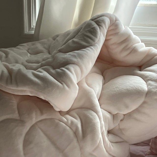 이미지를 찾을 수 없습니다.