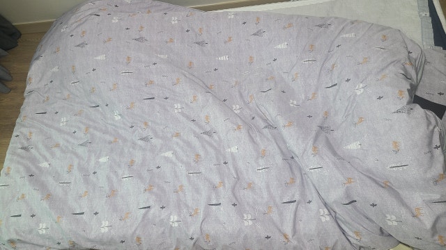 이미지를 찾을 수 없습니다.