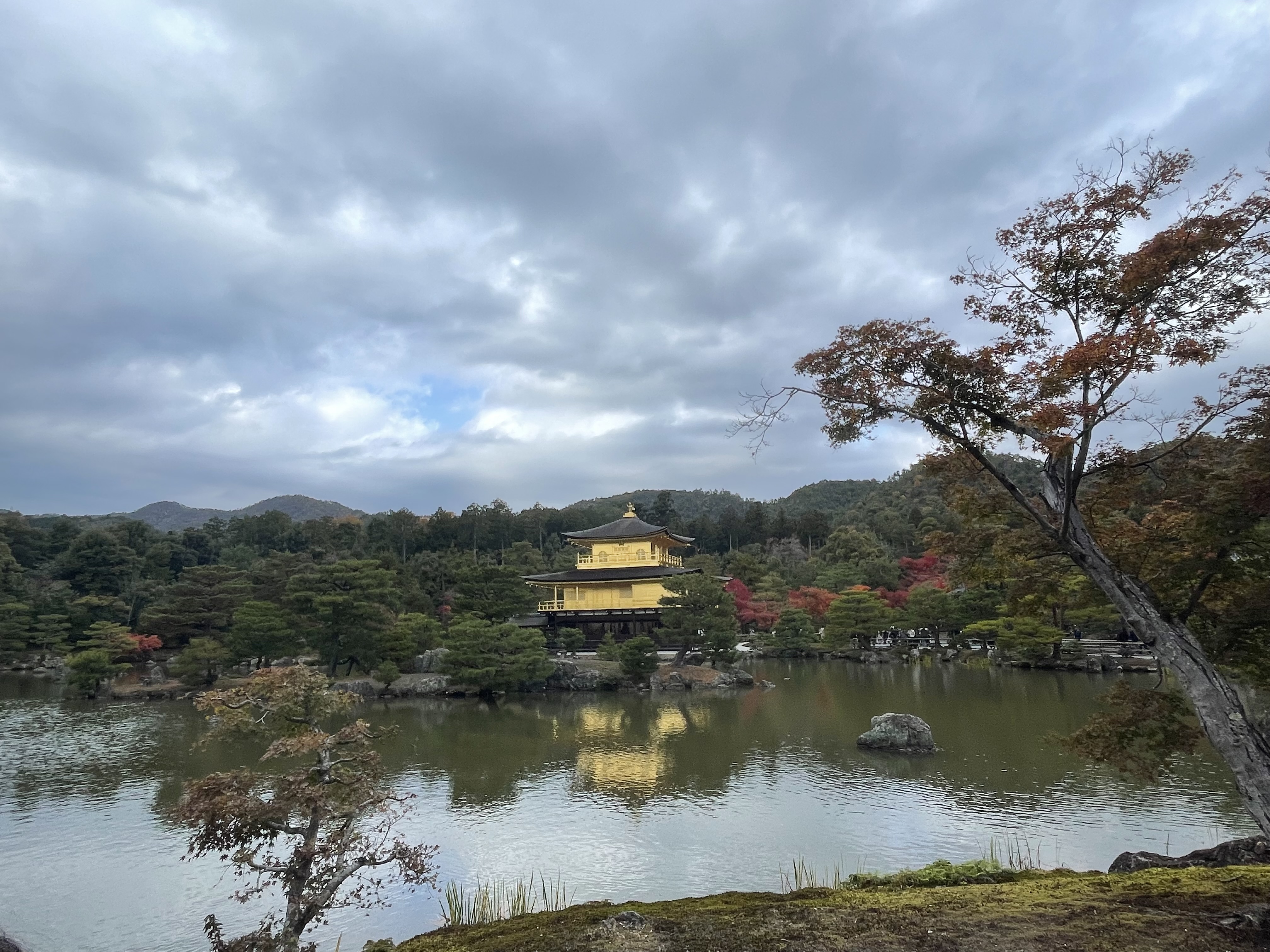 IMG_7006.jpeg