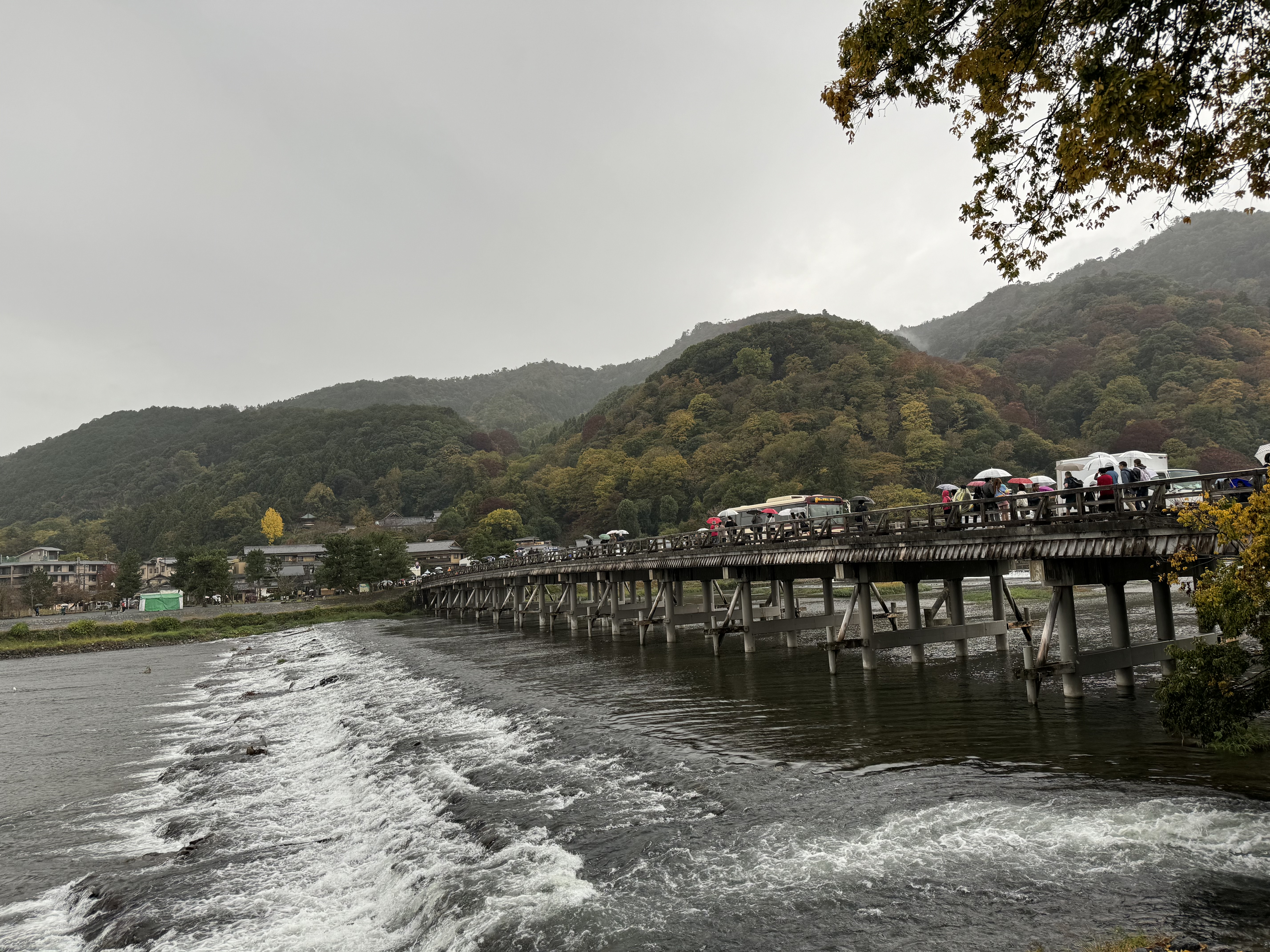 IMG_7647.jpeg