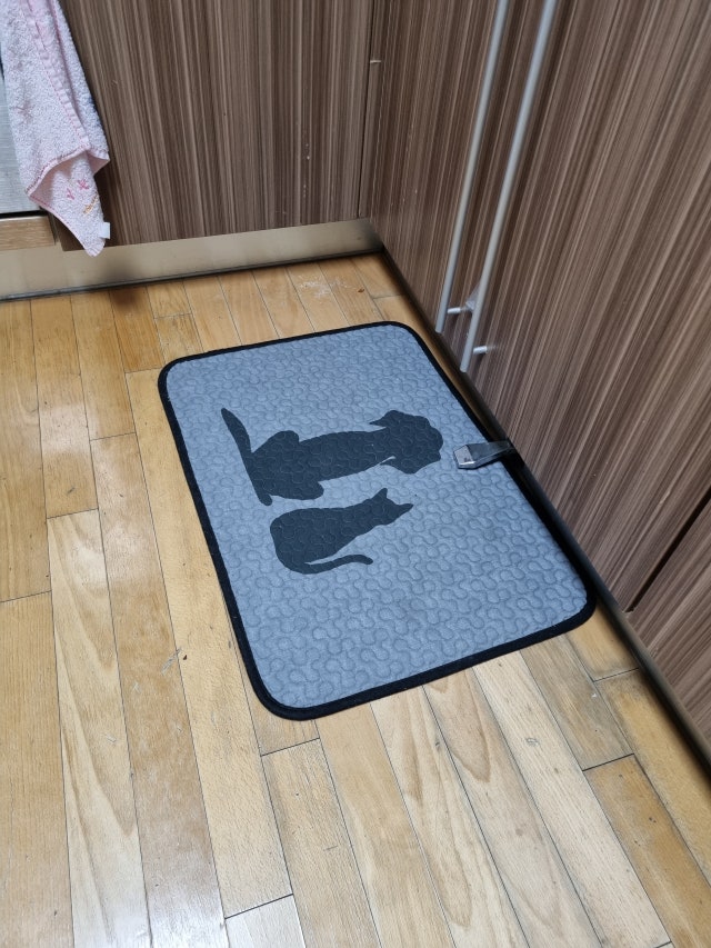 이미지를 찾을 수 없습니다.