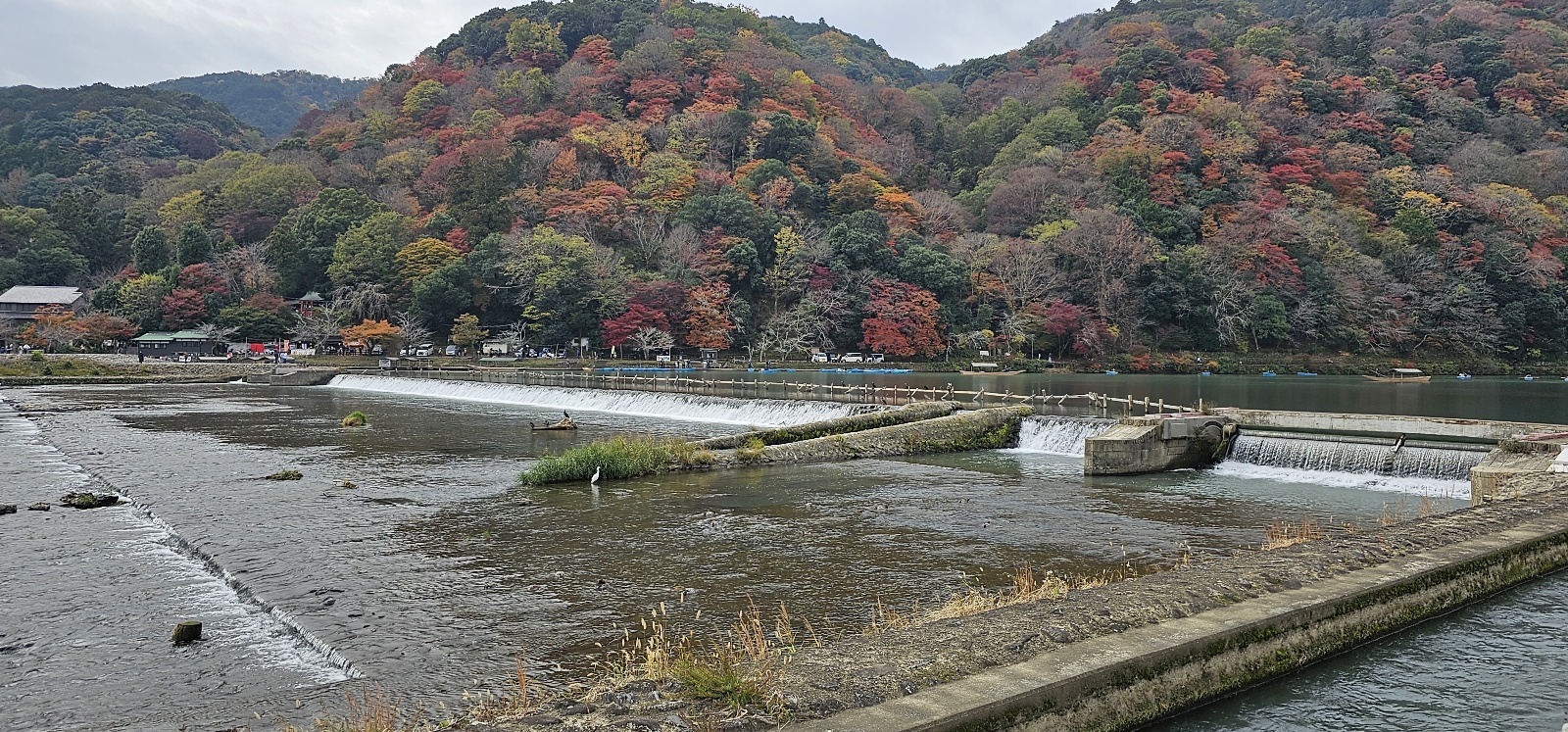 KakaoTalk_20231125_160742718.jpg