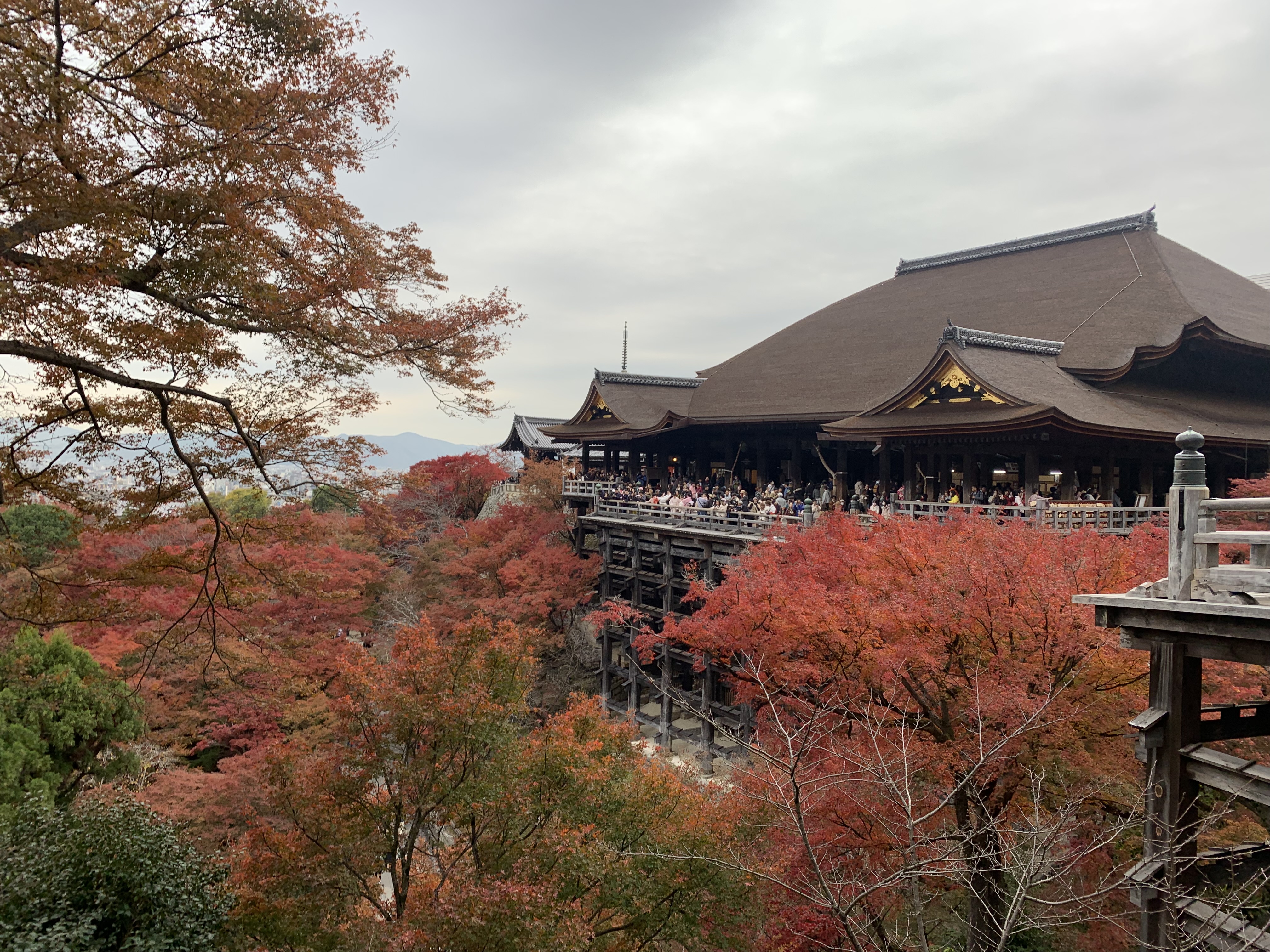 IMG_0213.jpeg