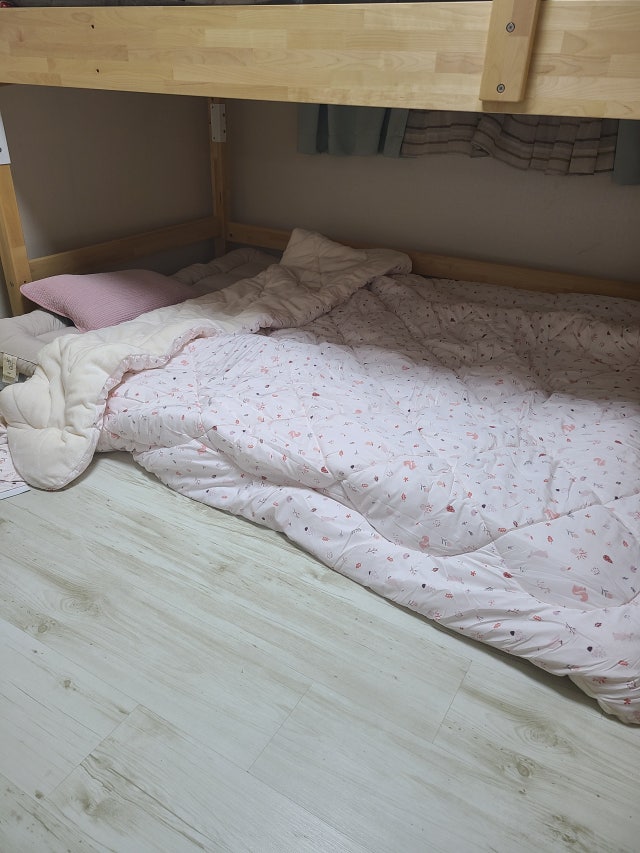 이미지를 찾을 수 없습니다.