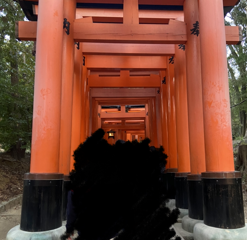 IMG_4003.jpeg