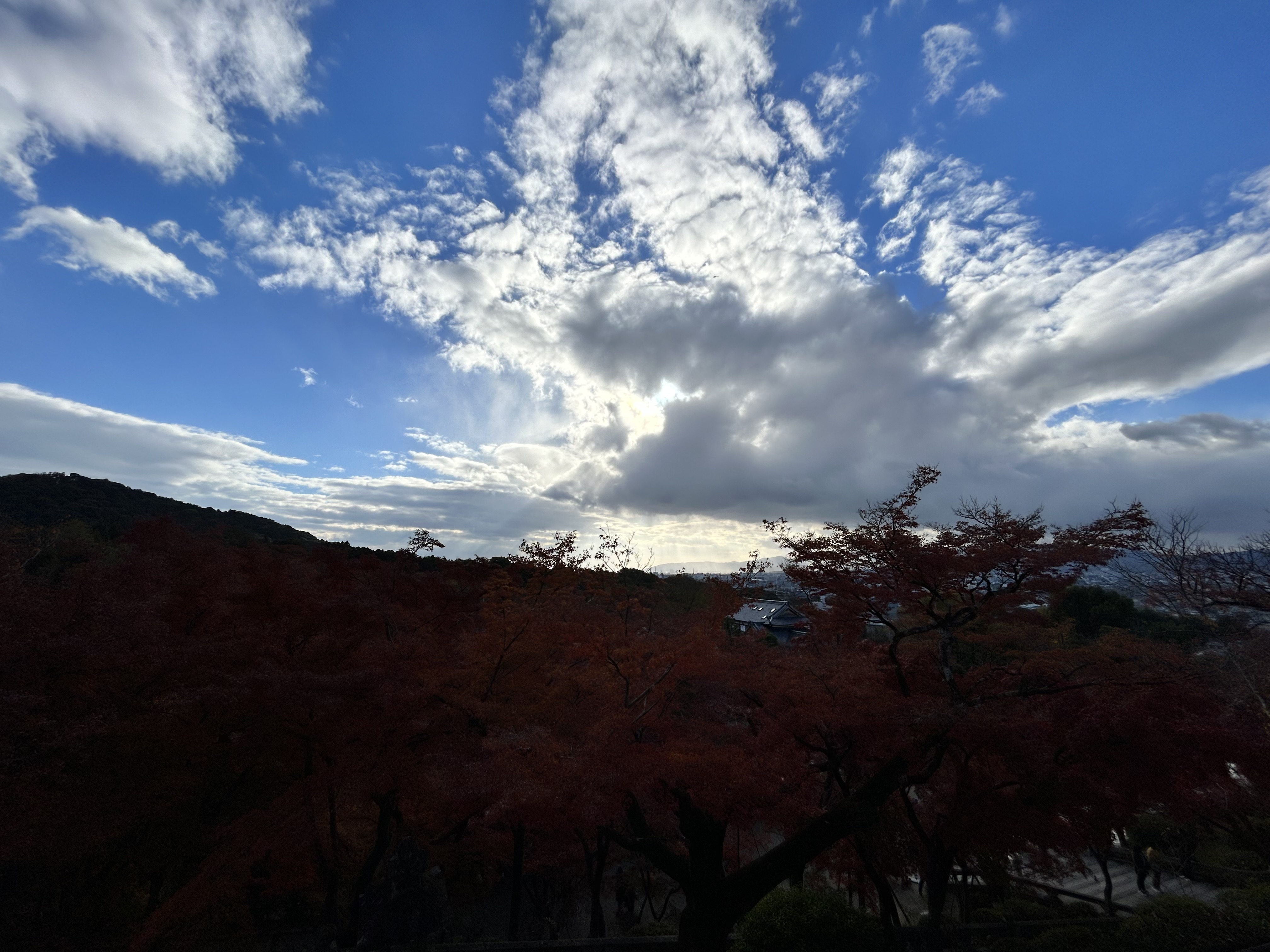 IMG_9624.jpeg