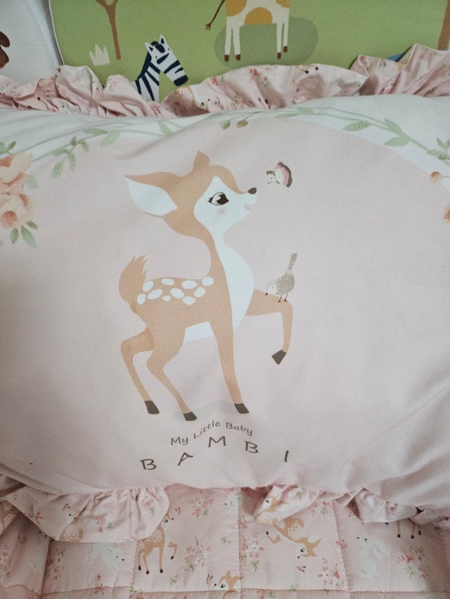 이미지를 찾을 수 없습니다.