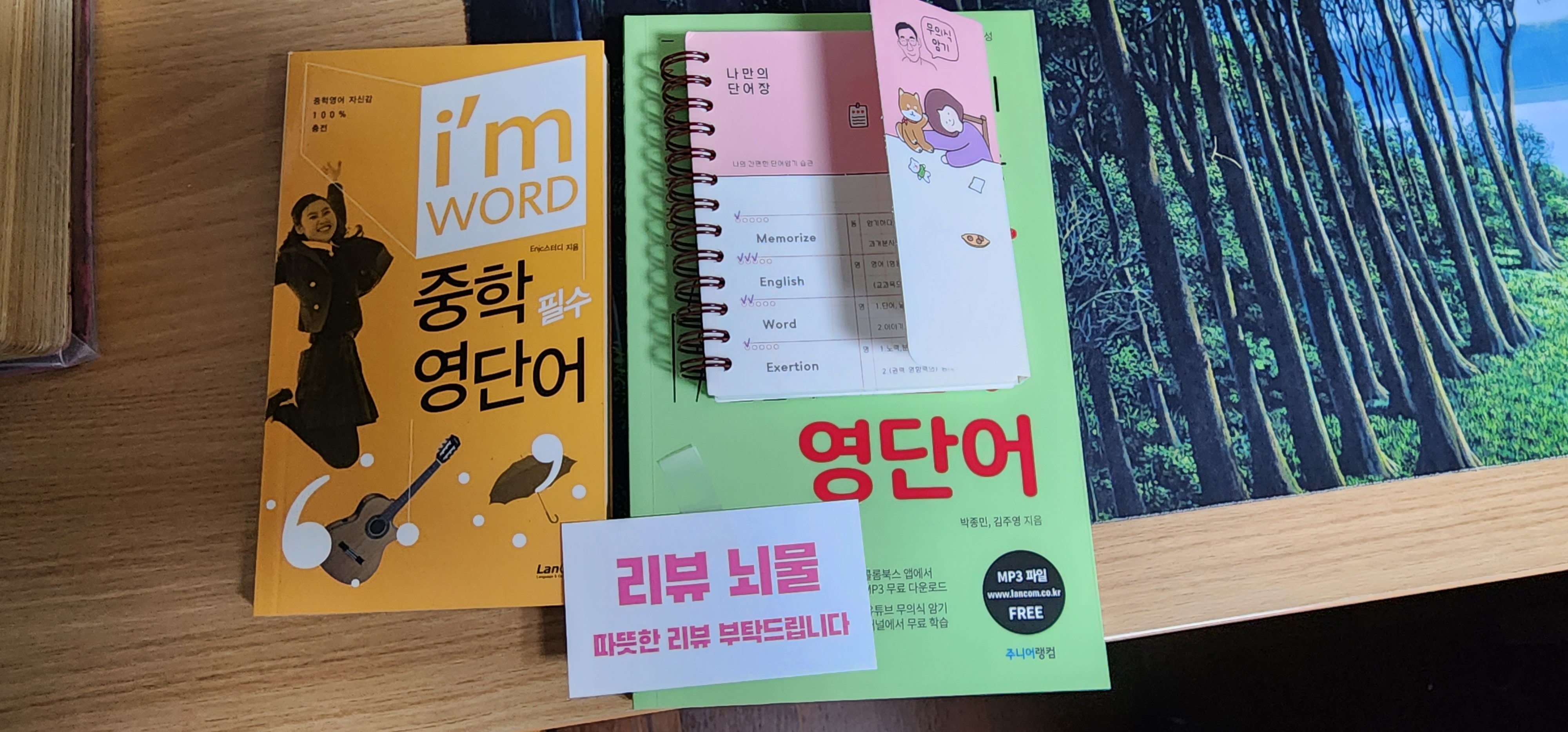 리뷰 이미지