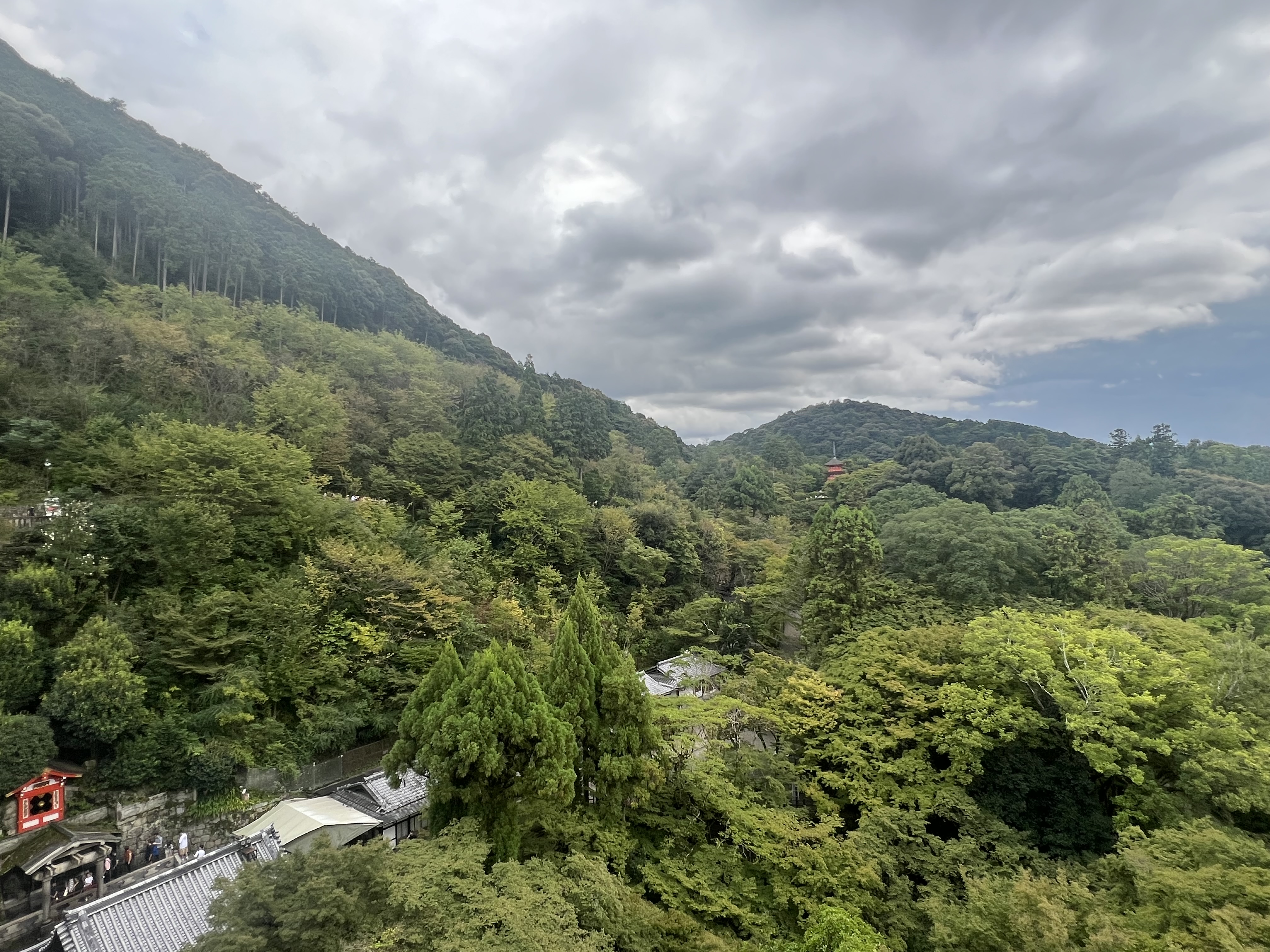 IMG_9466.jpeg