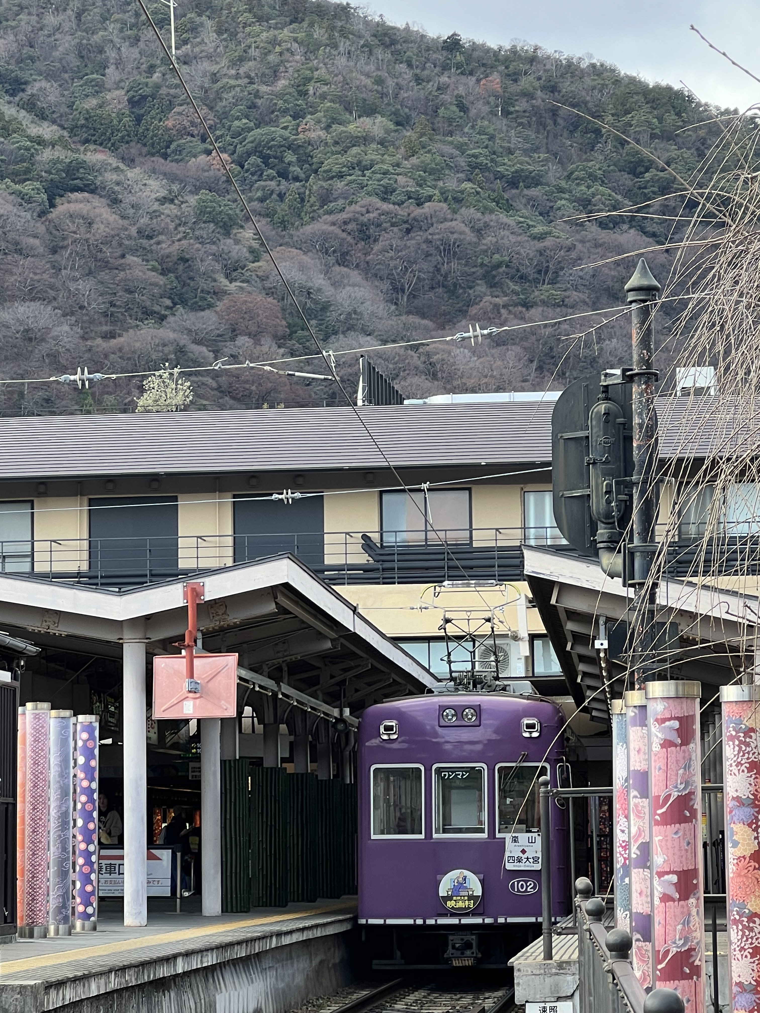 IMG_0073.jpeg