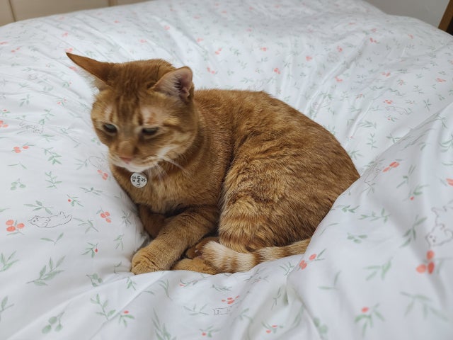 이미지를 찾을 수 없습니다.